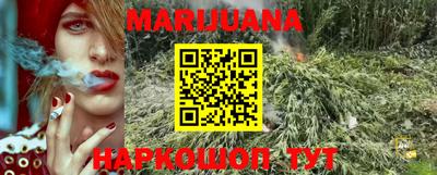 spice Кунгур