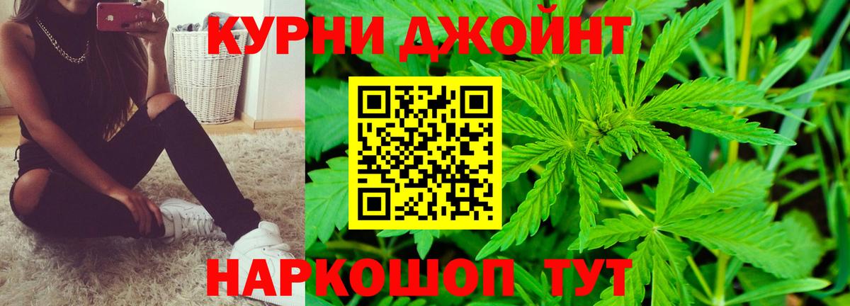 Долгопрудный  Бошки марихуана тримм  Бошки марихуана конопля  Бошки марихуана индика  Вход с VPN 
